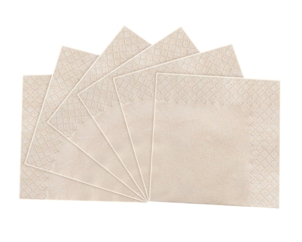 High Quality Natural Bamboo Pulp Napkins 2Ply Restaurant Tissue Napkin Disposable Cocktai Napkins